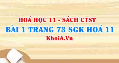 Bài 1 trang 73 SGK Hóa 11 Chân trời sáng tạo